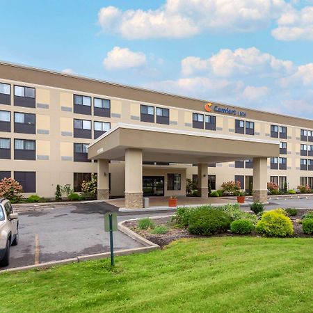 Comfort Inn Binghamton I-81 Exteriör bild