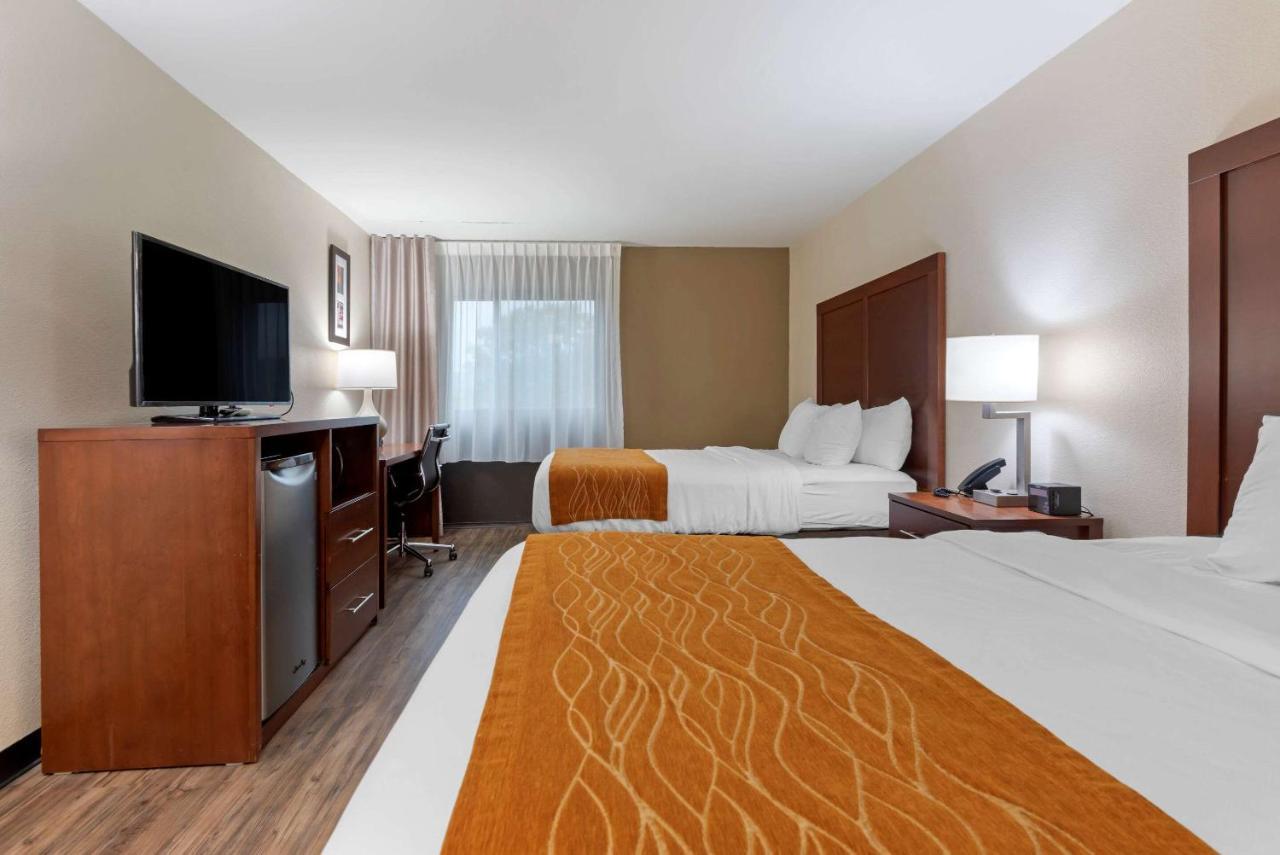 Comfort Inn Binghamton I-81 Exteriör bild