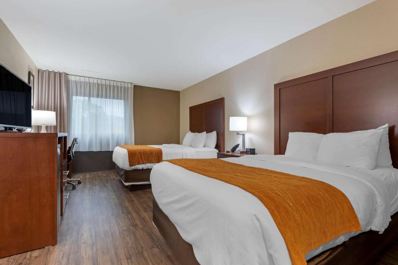 Comfort Inn Binghamton I-81 Exteriör bild