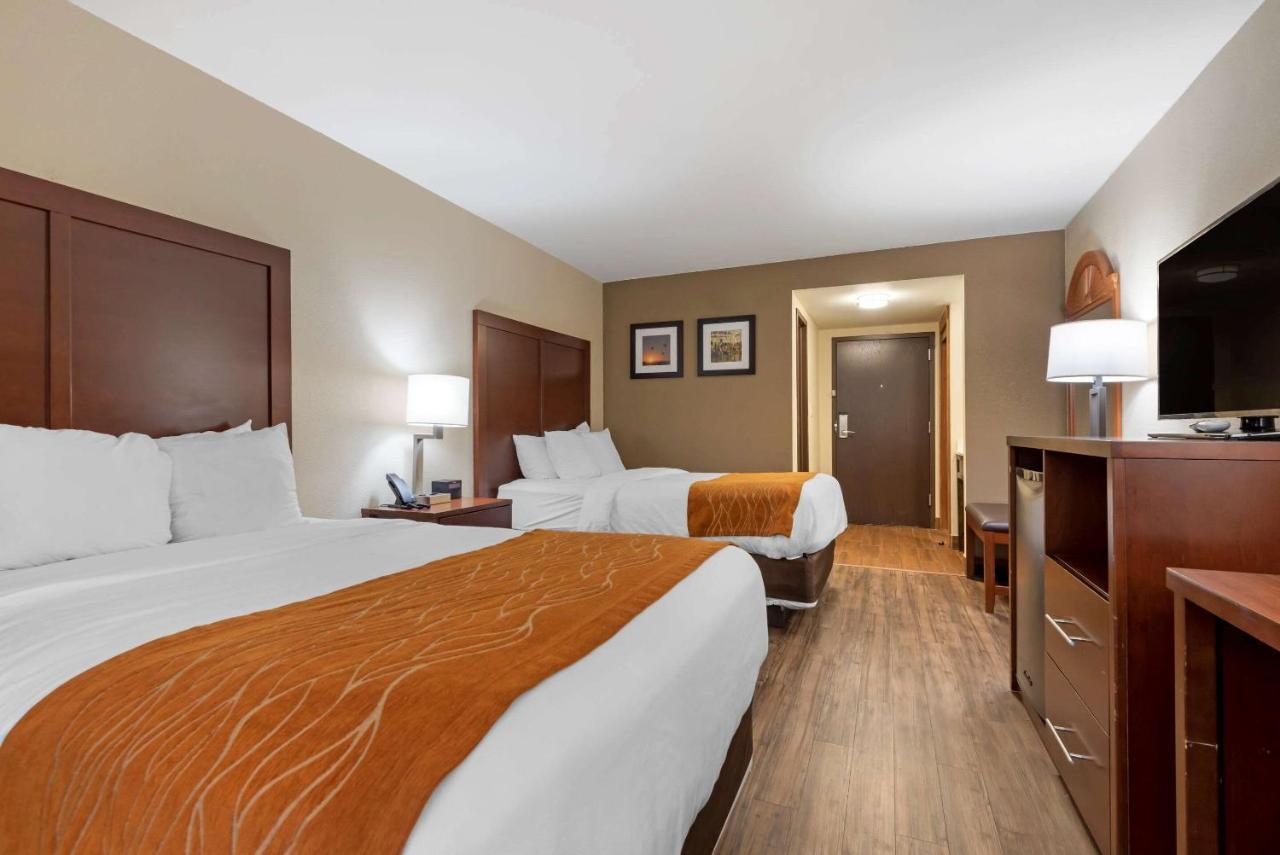 Comfort Inn Binghamton I-81 Exteriör bild