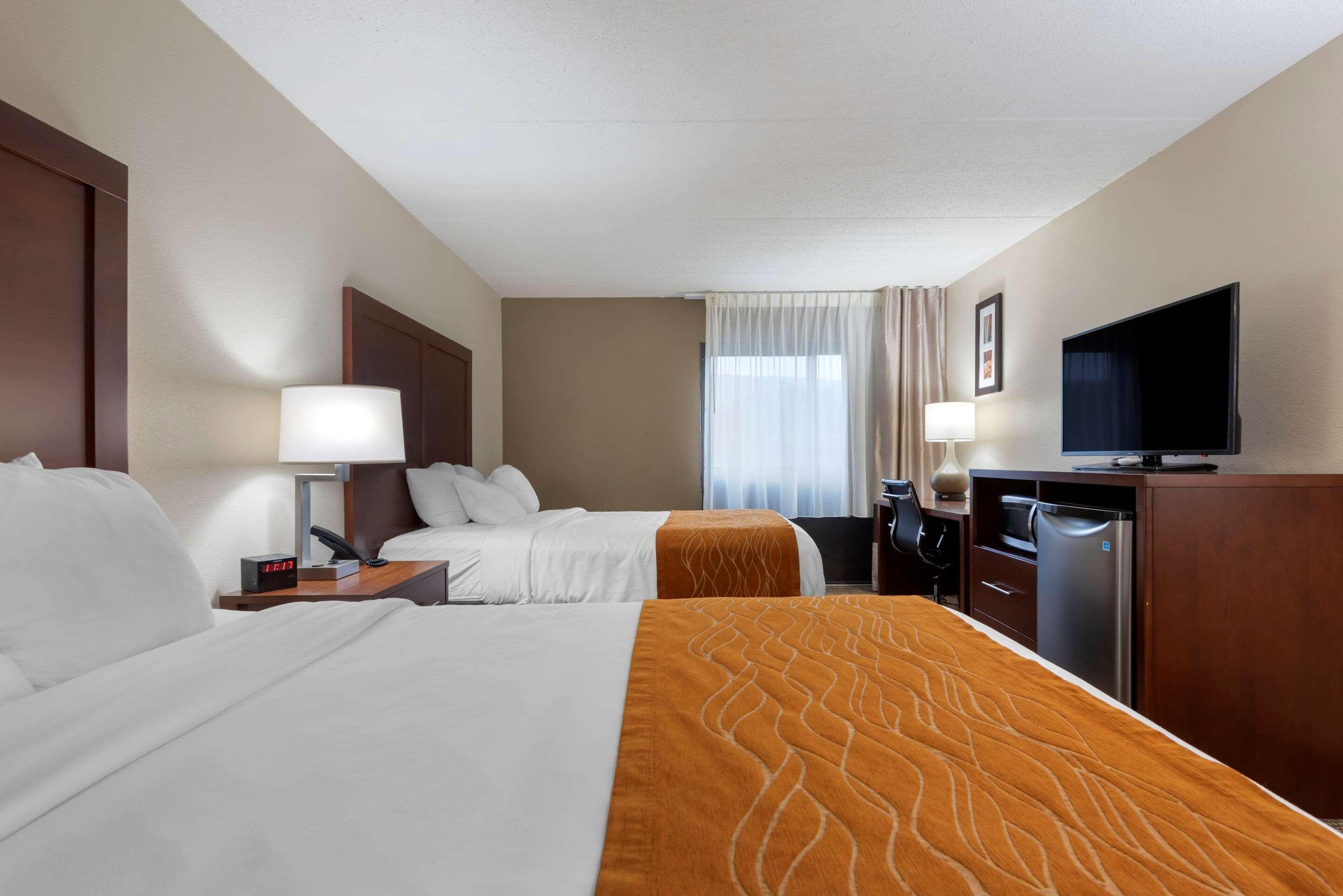 Comfort Inn Binghamton I-81 Exteriör bild