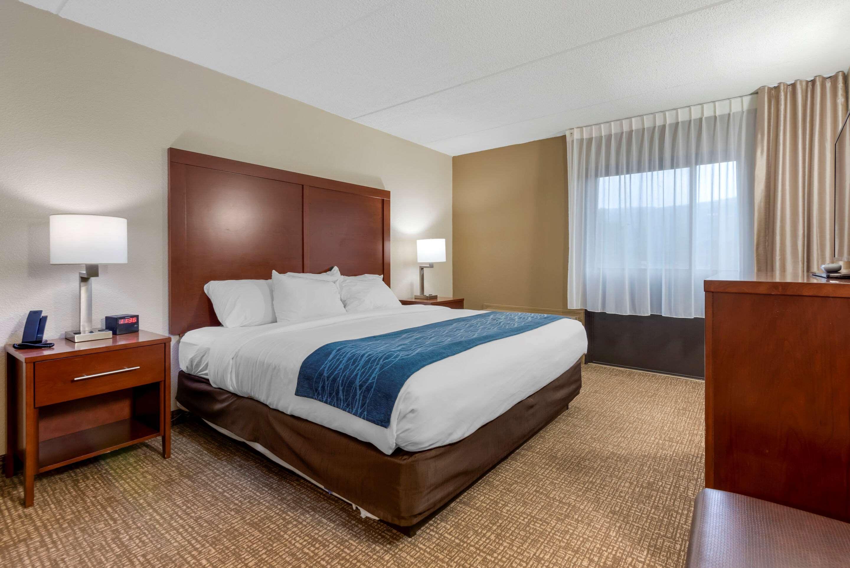 Comfort Inn Binghamton I-81 Exteriör bild