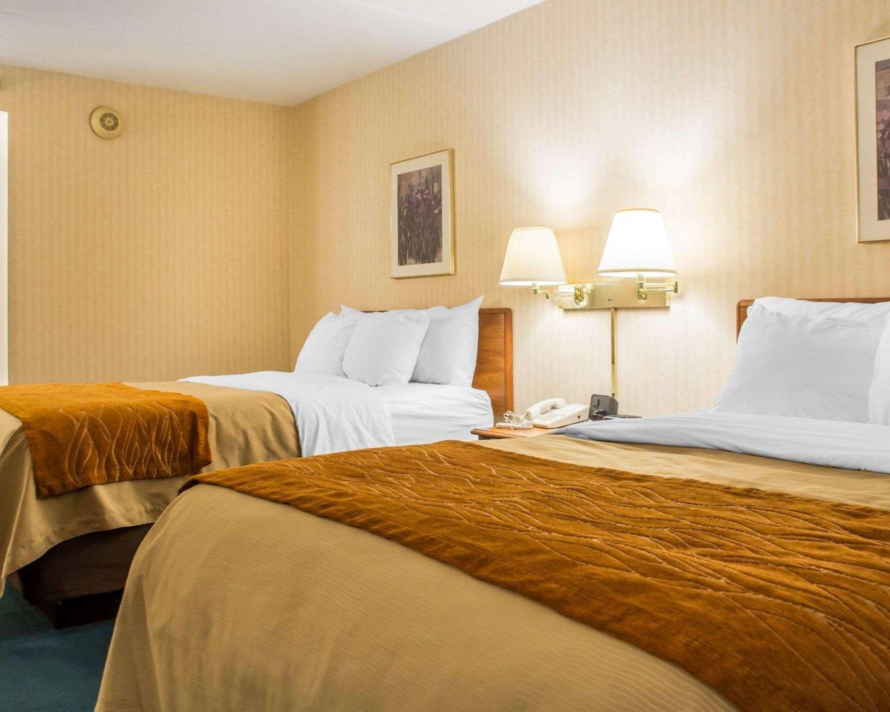Comfort Inn Binghamton I-81 Exteriör bild